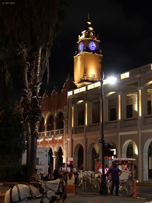 Palacio Municipal de Mérida, Plaza Principal de Mérida, after dark, night shot