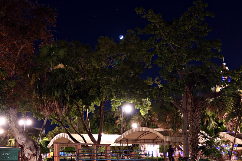 Plaza Principal de Mérida, after dark, night shot, moon, stars