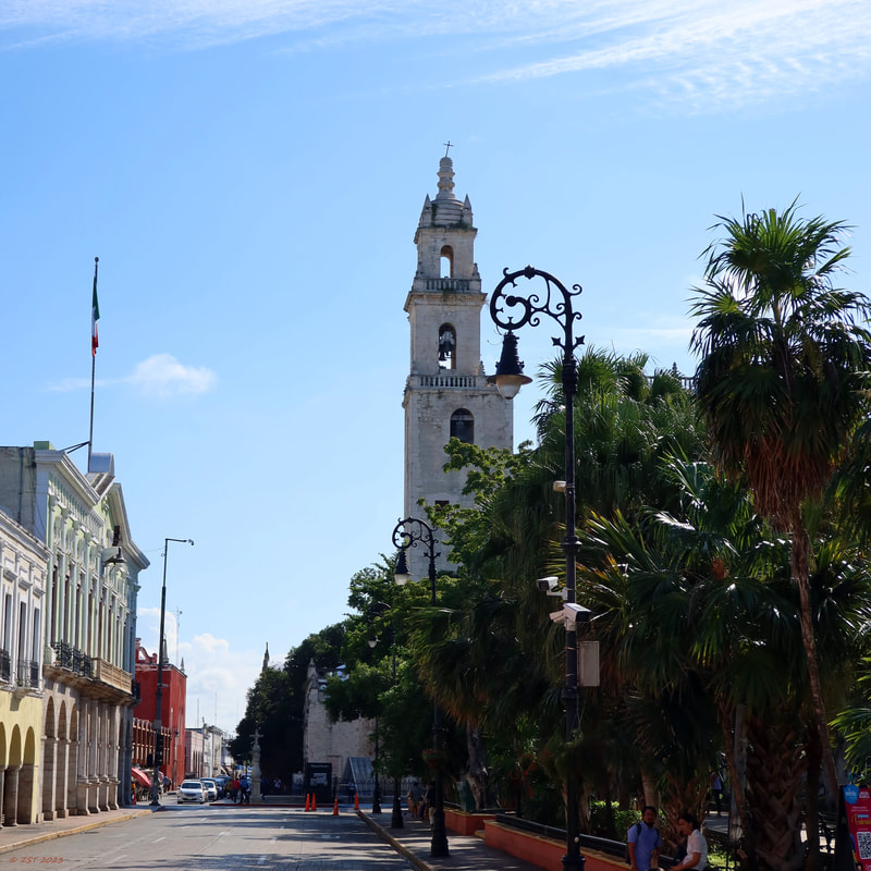 Mérida, streetscene, Catedral San Ildefonso, Plaza Principal de Mérida, park
